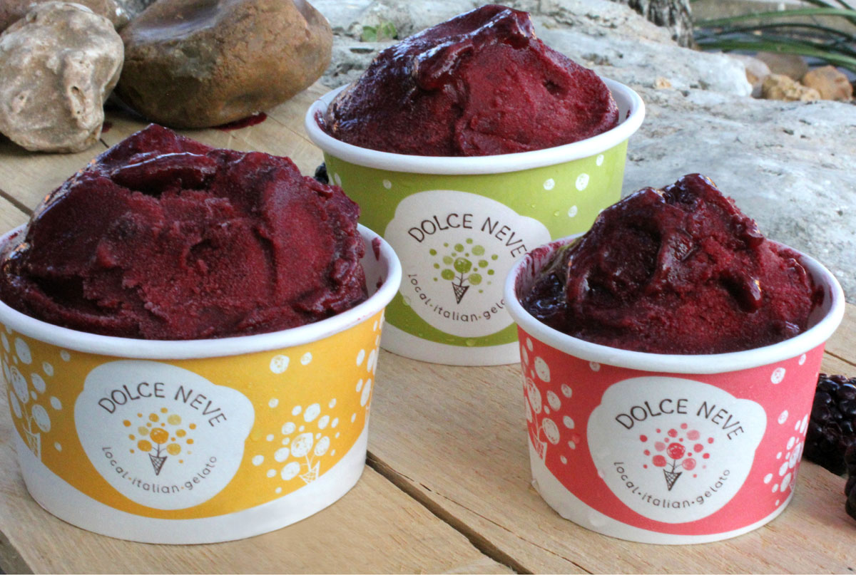 gelato logo and packaging design